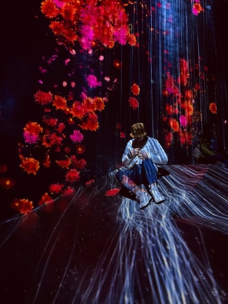 Descubra o Fascinante Mundo de  Em Nossa Resenha Detalhada