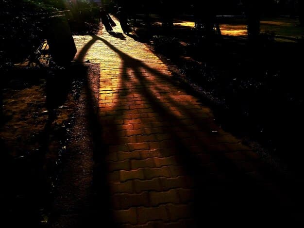 A dimly lit alleyway at night, with shadows obscuring details. A single streetlight casts an eerie glow on a brick wall, and the faint sound of sirens can be heard in the distance. The scene suggests danger and intrigue.